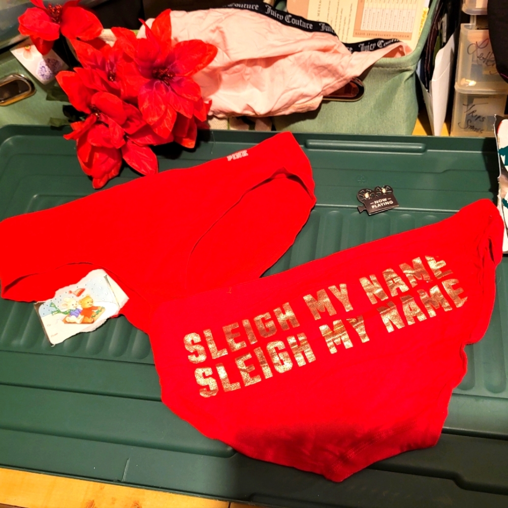 Sleigh My Name PINK PANTIES! 🤩